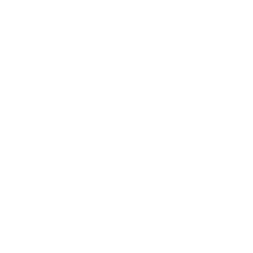 10 10